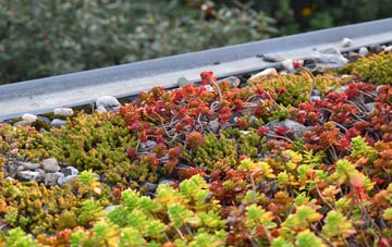 the cost of Westerton Of Runavey green roof installation