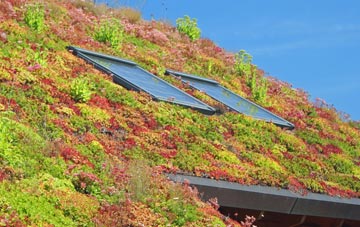 Westerton Of Runavey living roof systems