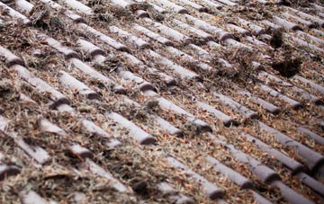 Westerton Of Runavey roof cleaning companies