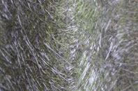 Westerton Of Runavey fibreglass roof work